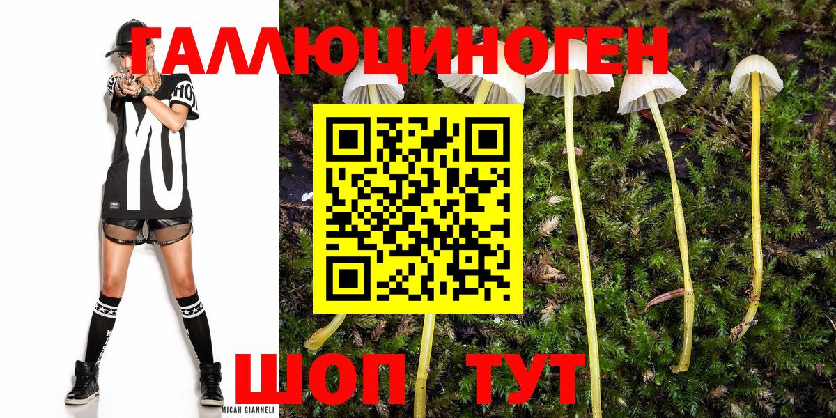 купить наркотики сайты  Вход с VPN  Волоколамск  Псилоцибиновые грибы GOLDEN TEACHER 